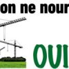 Sans titre 1