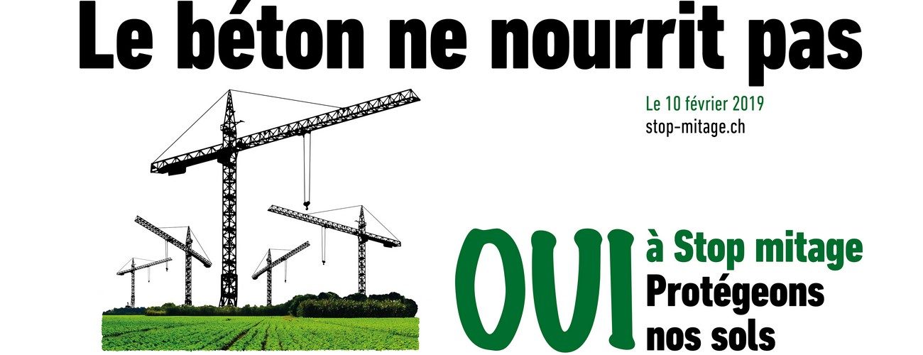 Sans titre 1
