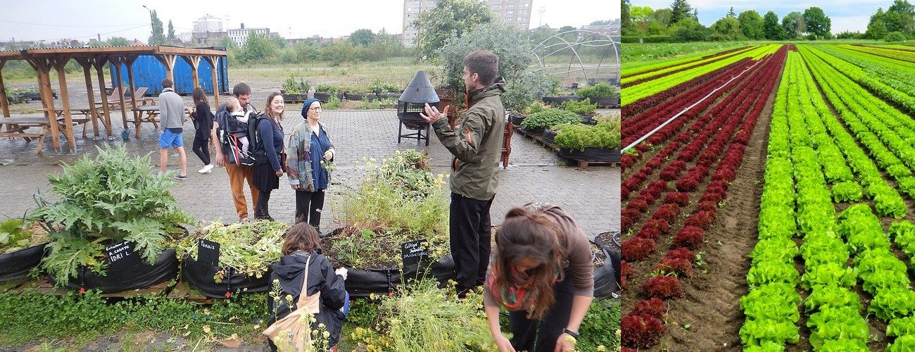 agriurbaine