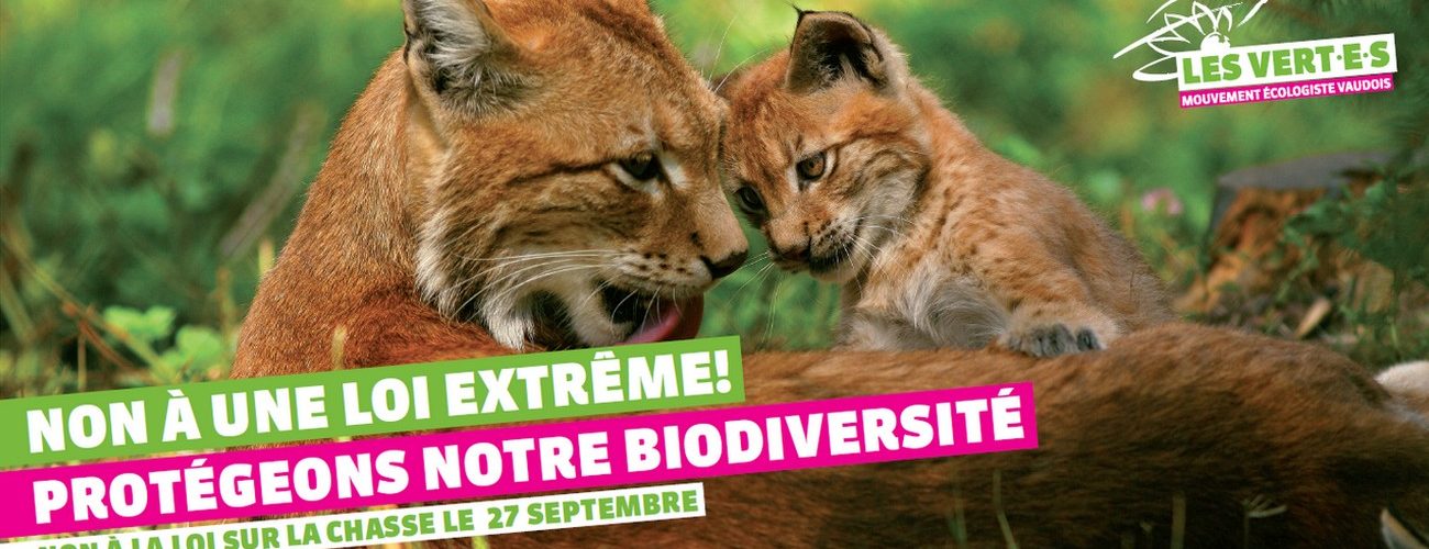 chasse