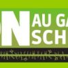 gaz