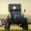 glyphosate