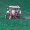 glyphosate