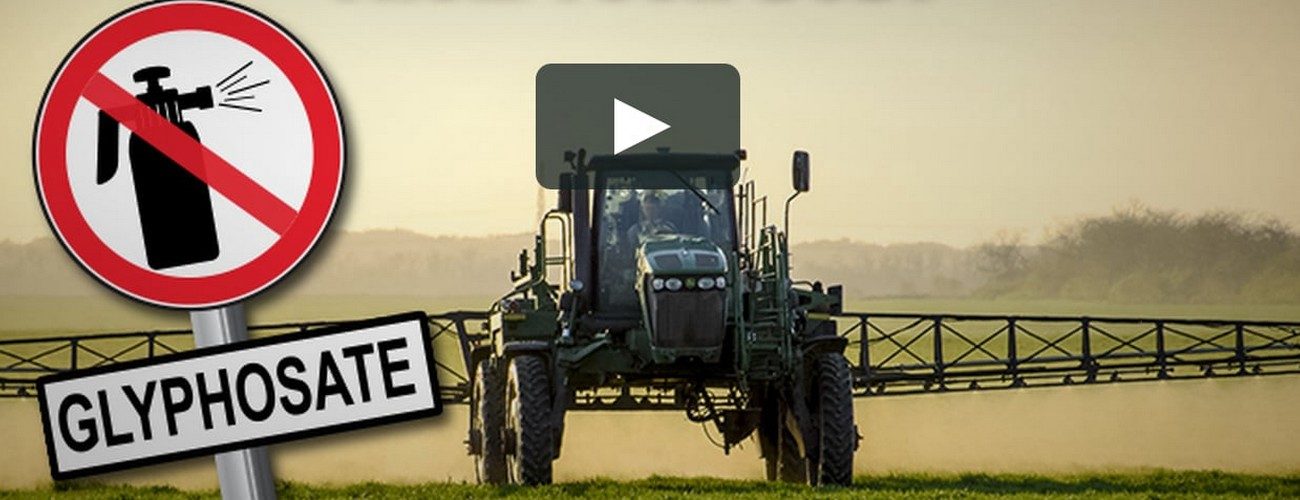 glyphosate