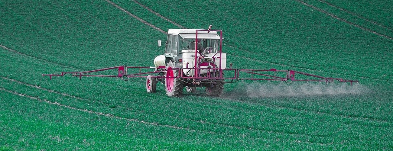 glyphosate