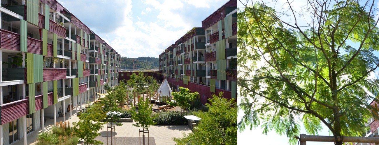 logement_ecoquartier