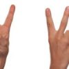 signes