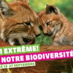chasse