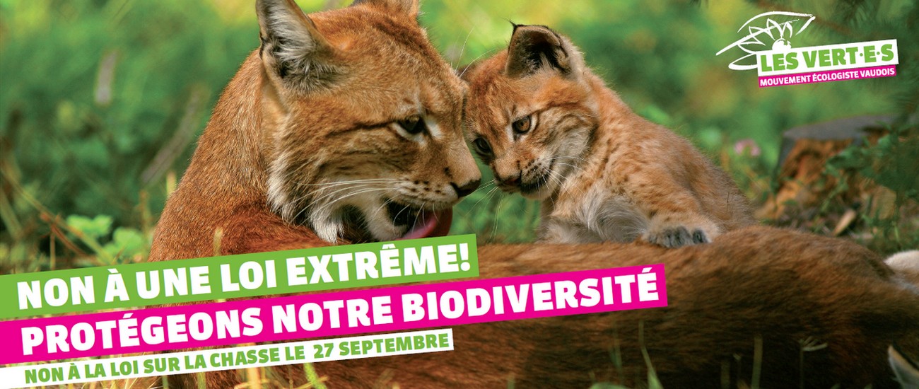 chasse